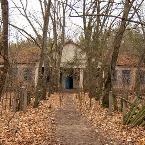 The village Zalissya