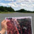 Red Forest